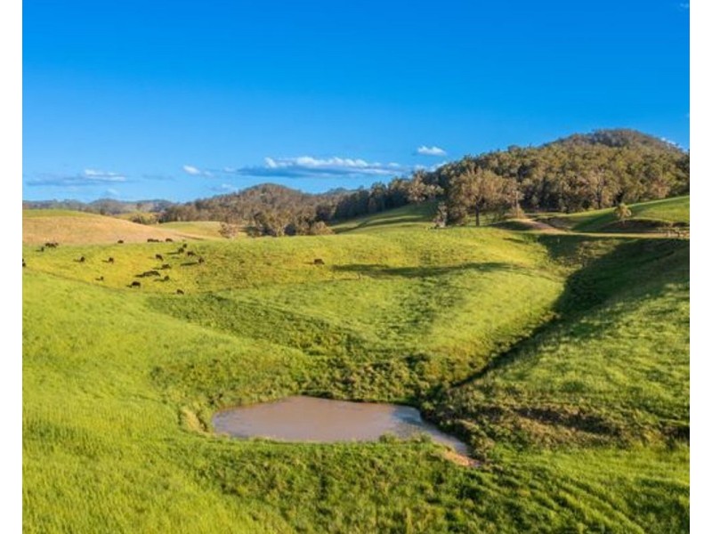 6487 Oxley Highway, Yarras NSW 2446