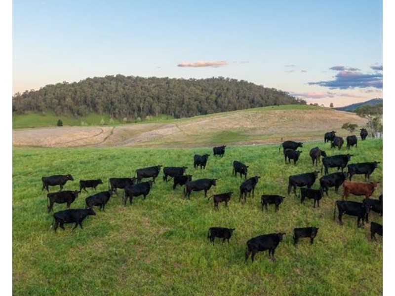 6487 Oxley Highway, Yarras NSW 2446