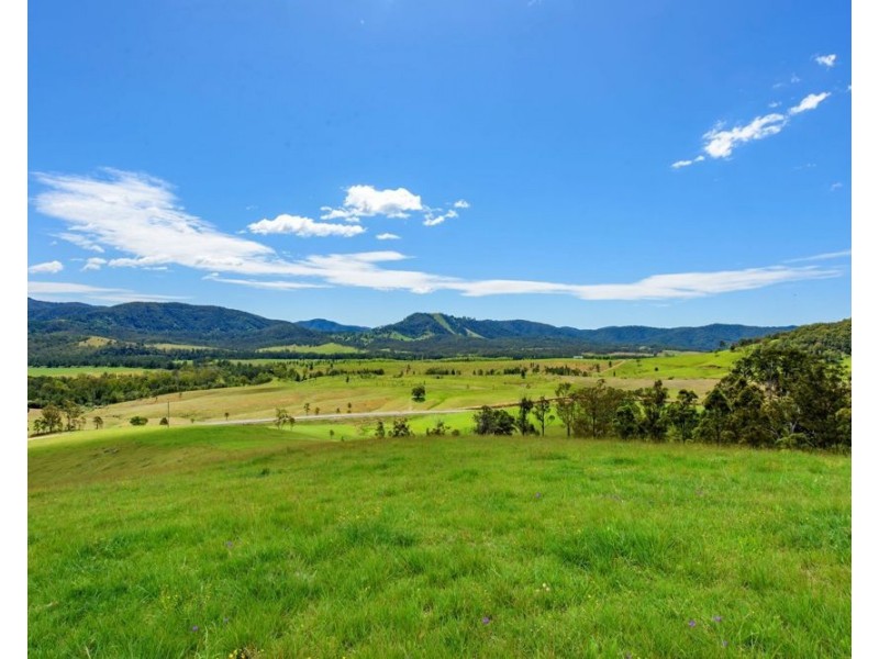 6487 Oxley Highway, Yarras NSW 2446