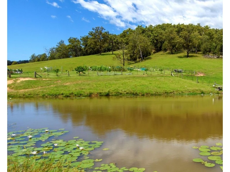 6487 Oxley Highway, Yarras NSW 2446