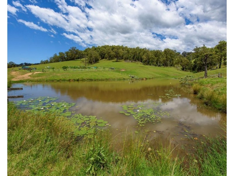 6487 Oxley Highway, Yarras NSW 2446