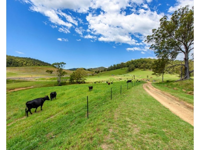 6487 Oxley Highway, Yarras NSW 2446