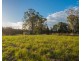 Lot 8 Haydons Wharf Road, Cooperabung NSW 2441