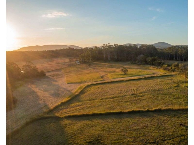 142 Old School Road, Herons Creek NSW 2443