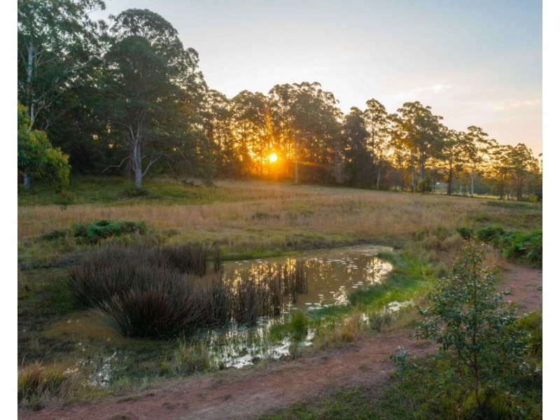 142 Old School Road, Herons Creek NSW 2443
