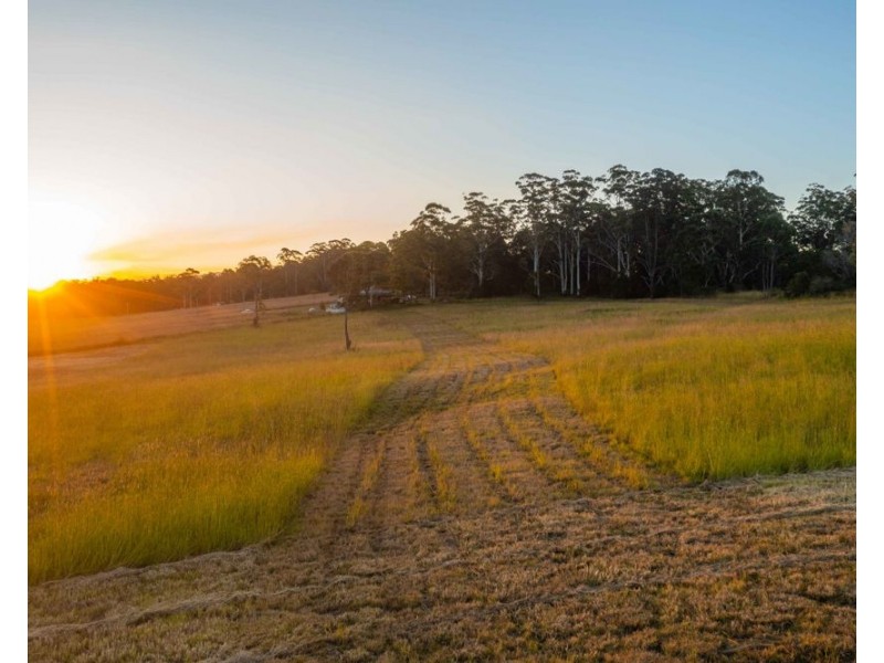142 Old School Road, Herons Creek NSW 2443