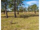 276 Aldavilla Road, Aldavilla NSW 2440