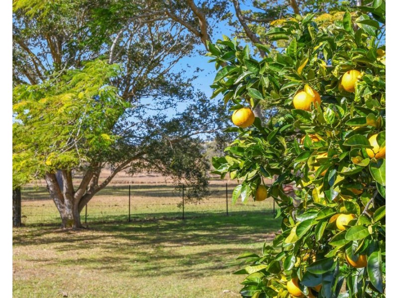 276 Aldavilla Road, Aldavilla NSW 2440