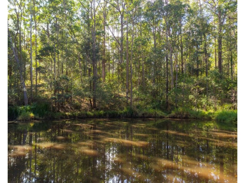 445 Smiths Creek Road, Kundabung NSW 2441