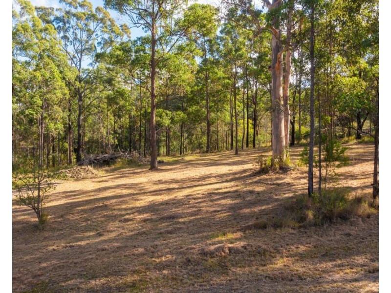 445 Smiths Creek Road, Kundabung NSW 2441