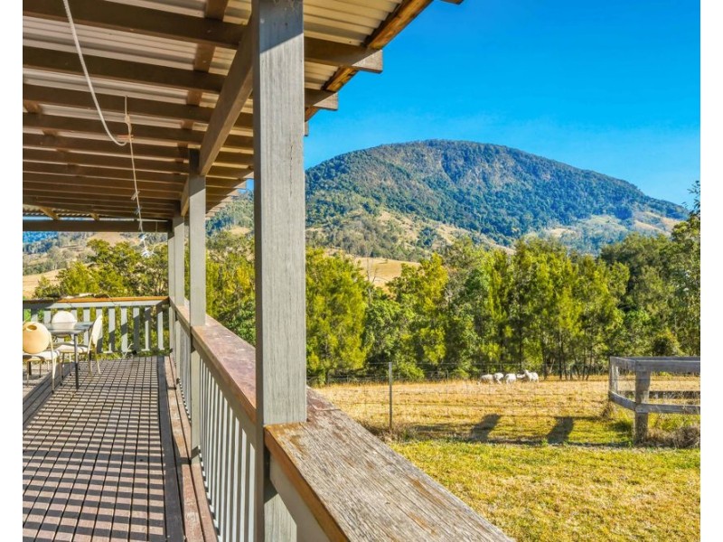 175 Mount Seaview Road, Mount Seaview NSW 2446