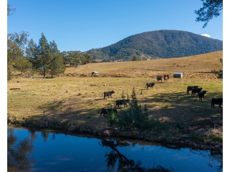 175 Mount Seaview Road, Mount Seaview NSW 2446