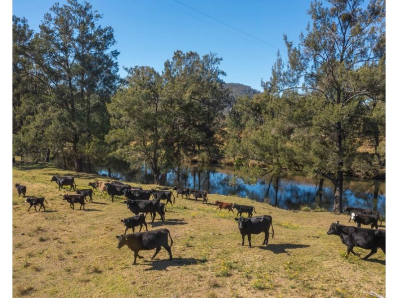 175 Mount Seaview Road, Mount Seaview NSW 2446