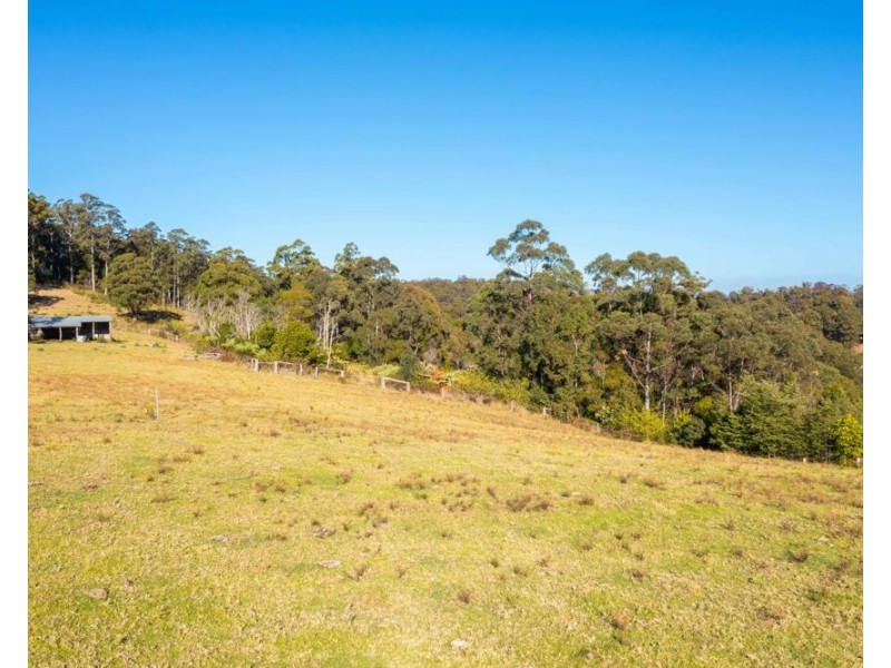 901 Ponsford Road, Comboyne NSW 2429