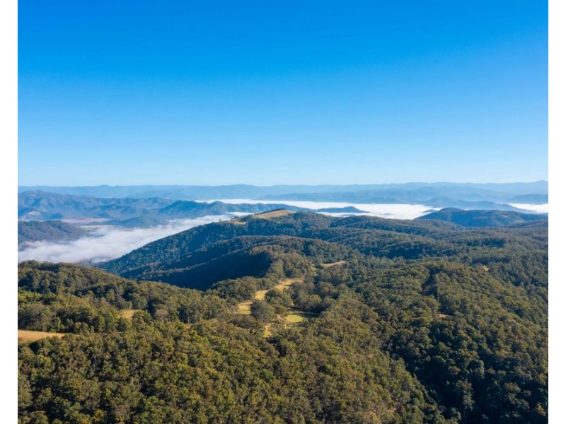 901 Ponsford Road, Comboyne NSW 2429