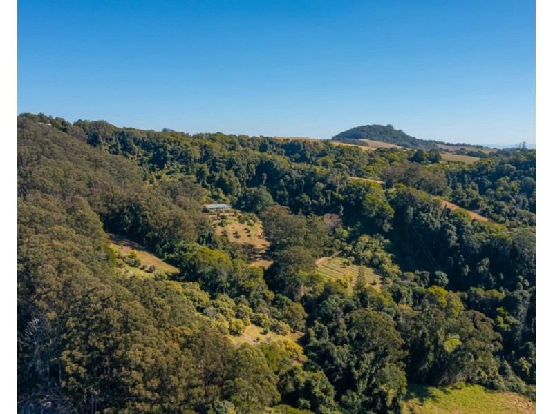 111 Bulli Road, Comboyne NSW 2429