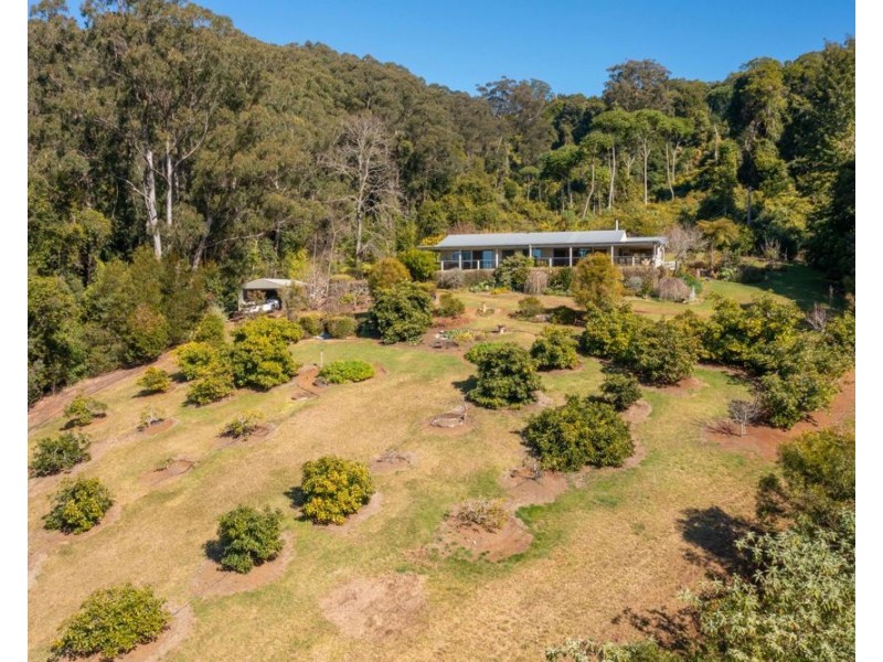 111 Bulli Road, Comboyne NSW 2429
