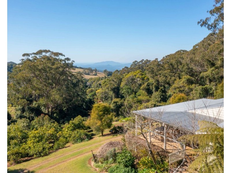 111 Bulli Road, Comboyne NSW 2429