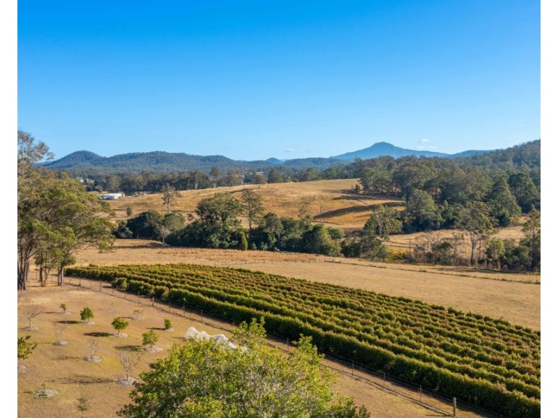 122 Secombs Lane, Hickeys Creek NSW 2440