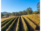 122 Secombs Lane, Hickeys Creek NSW 2440