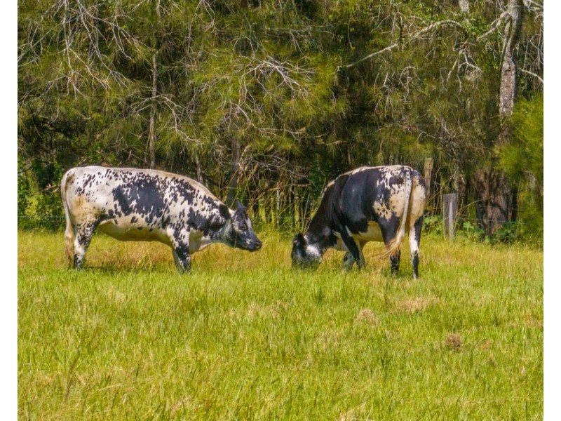 426 Sancrox Road, Sancrox NSW 2446