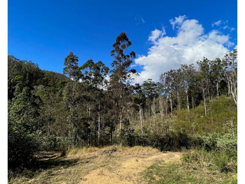 4069 Armidale Road, Bellbrook NSW 2440