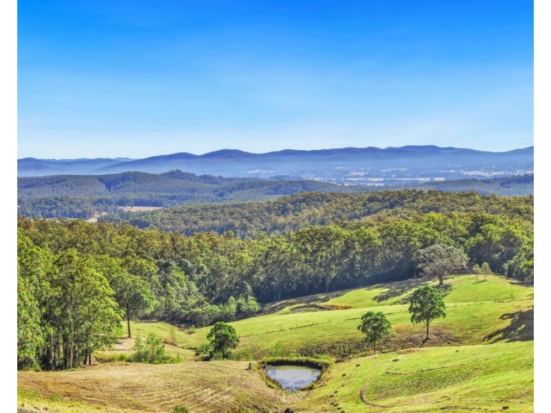Rollands Plains NSW 2441