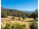 Rollands Plains NSW 2441