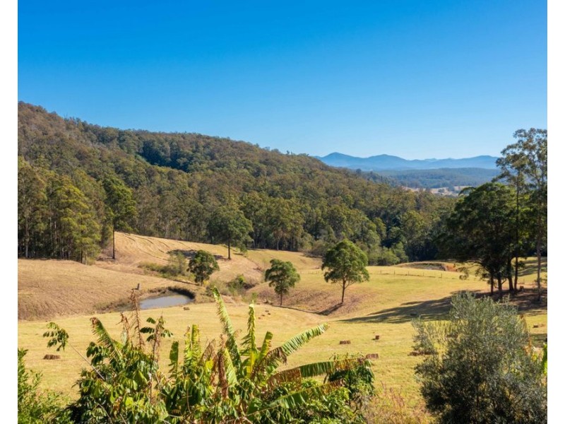 Rollands Plains NSW 2441