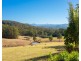Rollands Plains NSW 2441