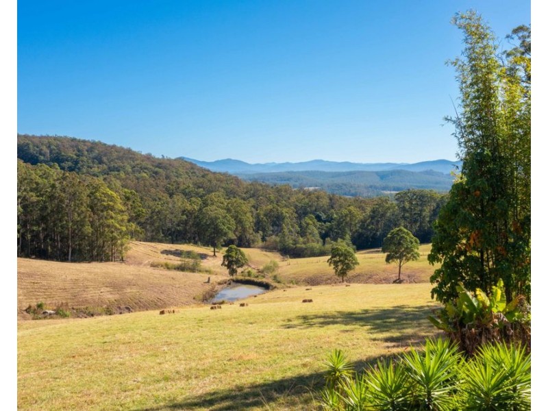 Rollands Plains NSW 2441
