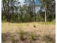 21 Mobbs Drive, Kundabung NSW 2441