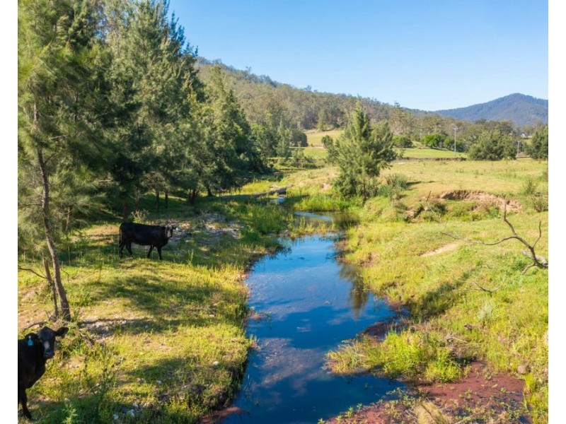 113 Upper Buckra Bendinni, Bowraville NSW 2449