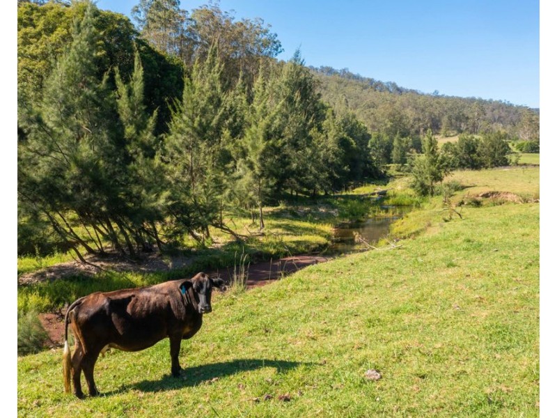 113 Upper Buckra Bendinni, Bowraville NSW 2449