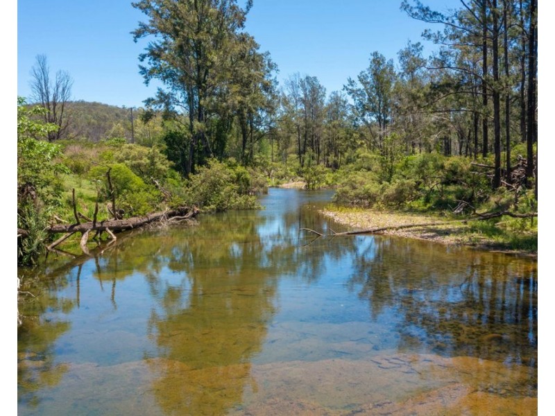 1199 Dungay Creek Road, Wittitrin NSW 2440