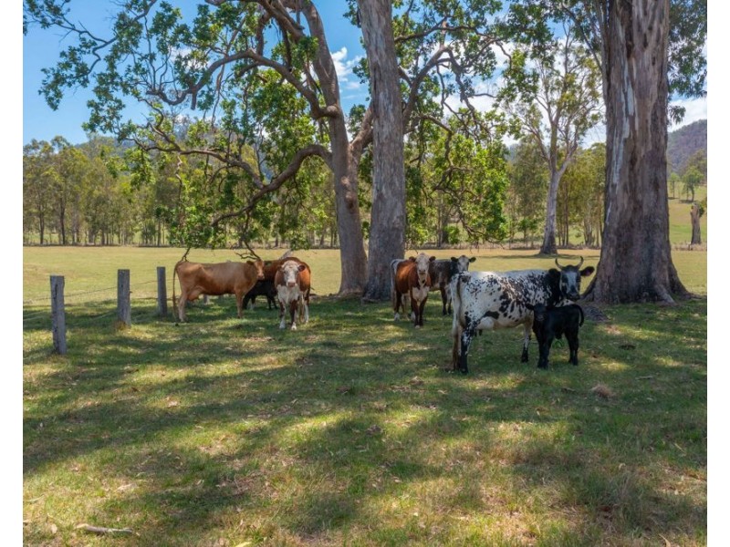 8493 Armidale Rd, Comara NSW 2440