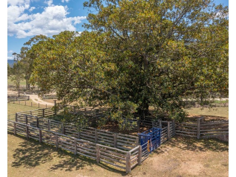 8493 Armidale Rd, Comara NSW 2440