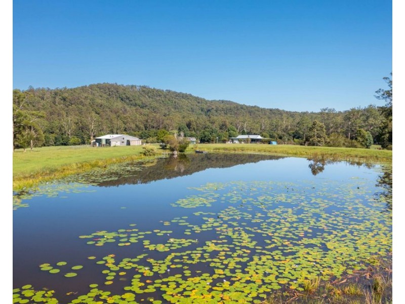 302 Clarefield Dungay Creek Road, Rollands Plains NSW 2441