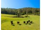 302 Clarefield Dungay Creek Road, Rollands Plains NSW 2441