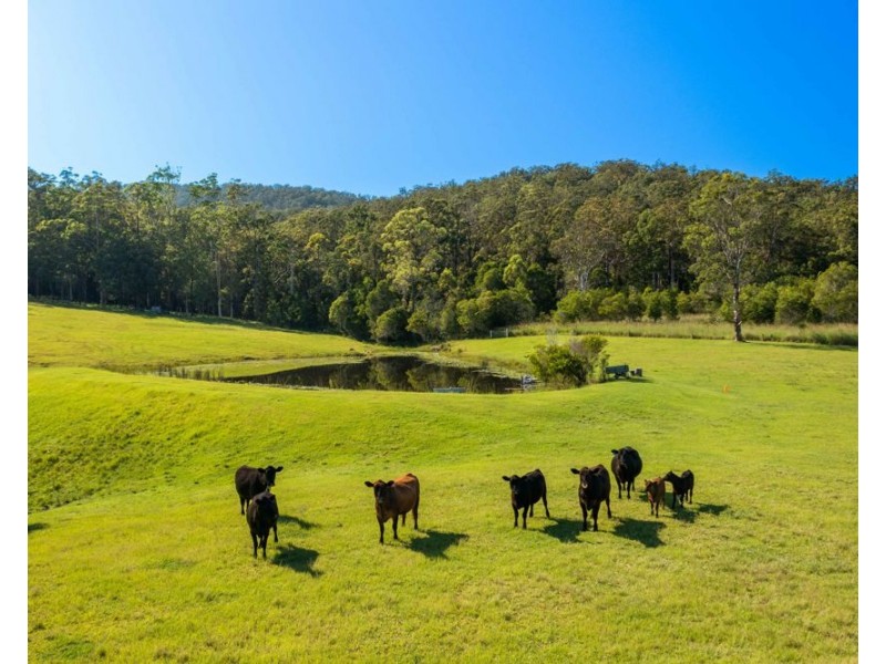 302 Clarefield Dungay Creek Road, Rollands Plains NSW 2441