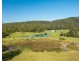302 Clarefield Dungay Creek Road, Rollands Plains NSW 2441