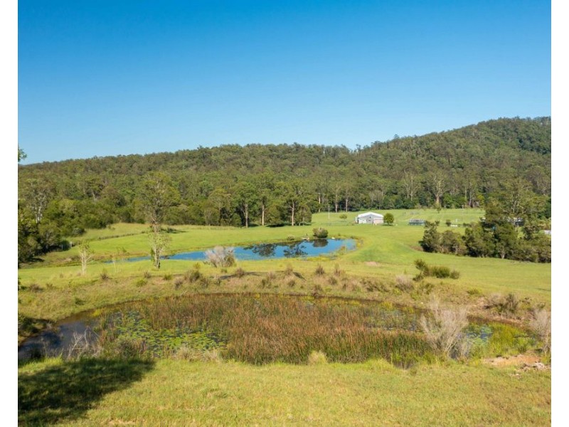 302 Clarefield Dungay Creek Road, Rollands Plains NSW 2441