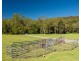 302 Clarefield Dungay Creek Road, Rollands Plains NSW 2441
