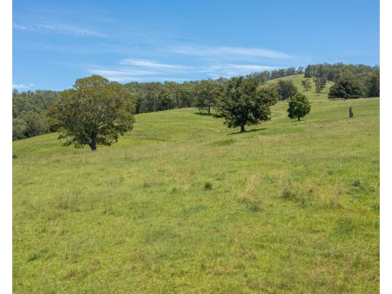 273 Roelands Drive, Brombin NSW 2446