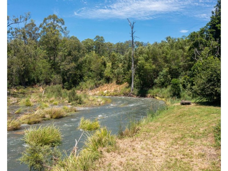 123 Lemon Gum Road, Lower Pappinbarra NSW 2446