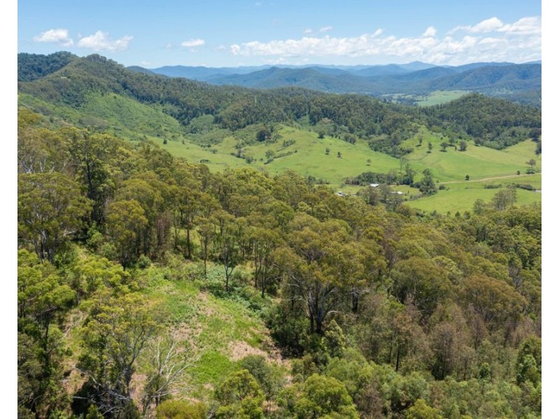 123 Lemon Gum Road, Lower Pappinbarra NSW 2446