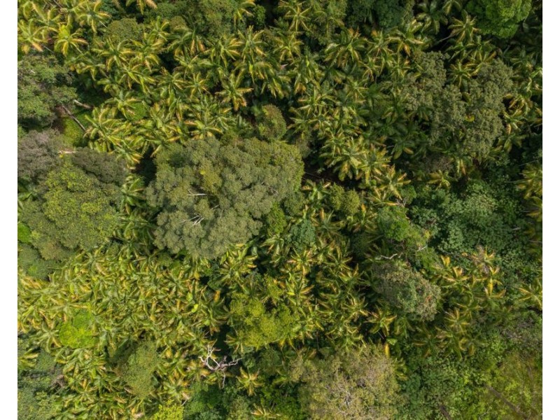 81 Baileys Road, Telegraph Point NSW 2441