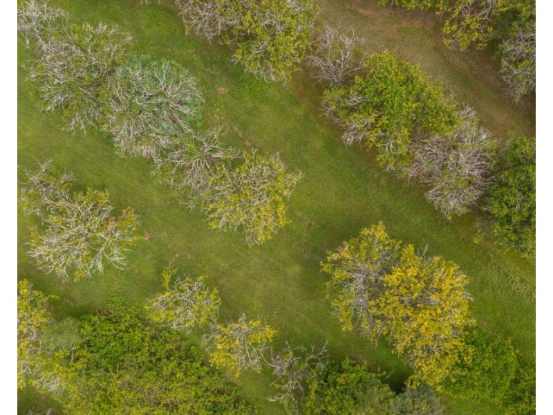 81 Baileys Road, Telegraph Point NSW 2441