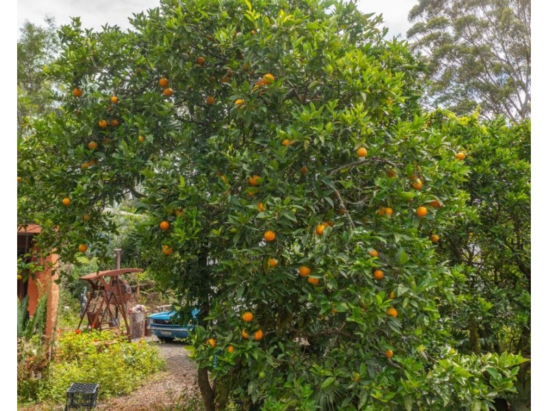 81 Baileys Road, Telegraph Point NSW 2441