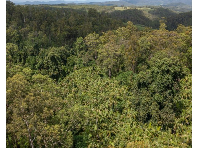 81 Baileys Road, Telegraph Point NSW 2441